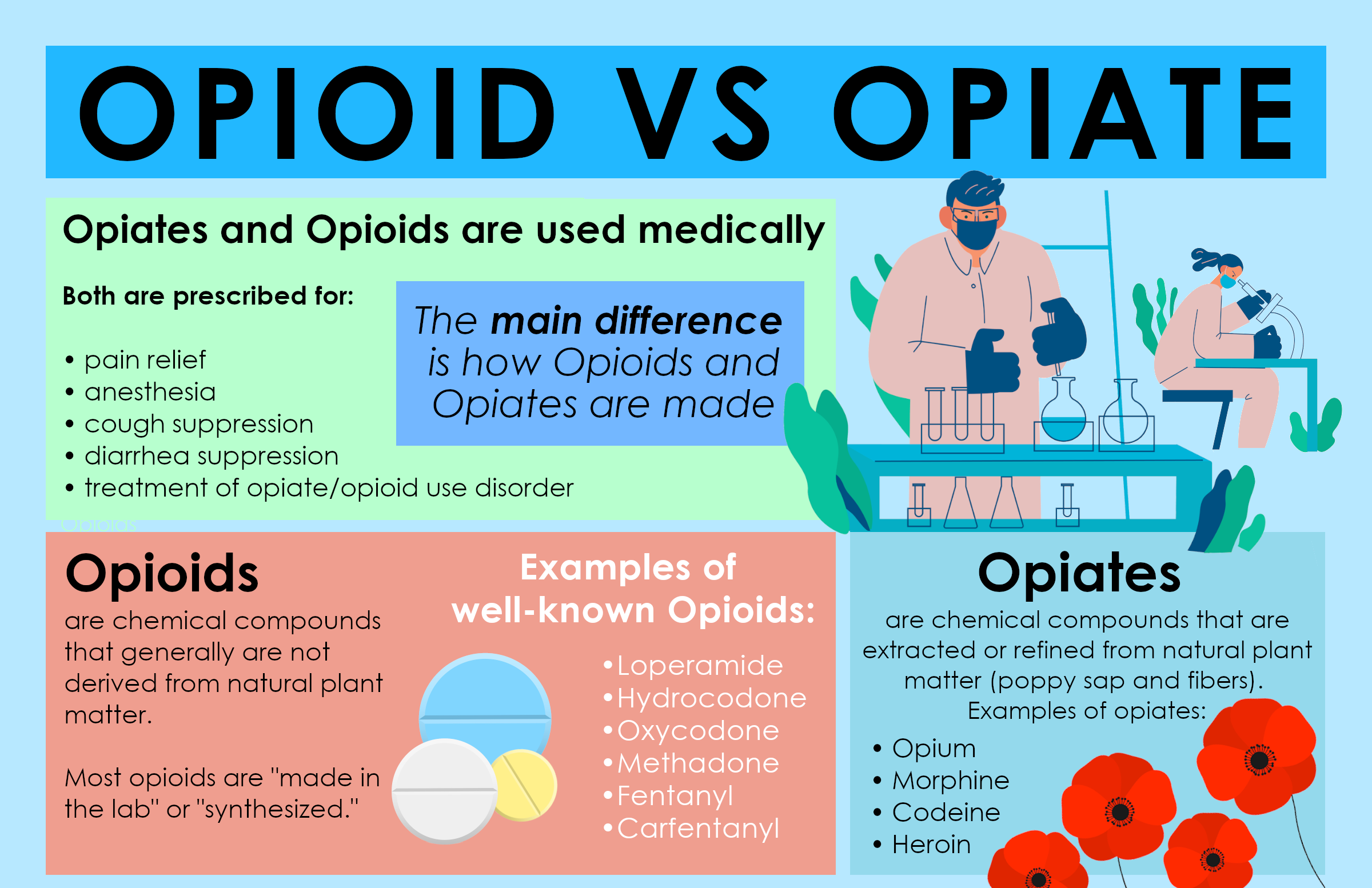 the difference between opioids and opiates